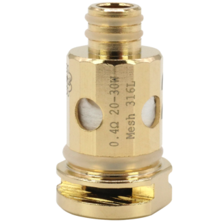 DotMod dotStick SS316L Mesh Verdampferkopf – 0,4 Ohm – 5er Pack